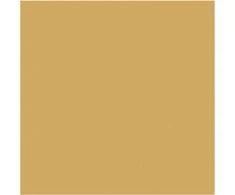 Paw Servetėlės Mono Gold 33 x 33 cm 20 vnt