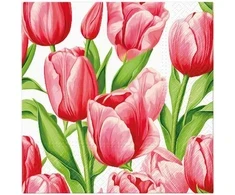 Tulip Popierinės servetėlės, 190 vnt., 33 x 33 cm, 20 vnt. PAW