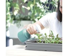 Prosperplast Purkštuvas Spry 1.2L žalias