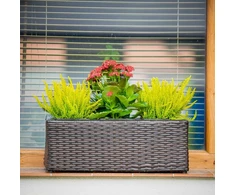 Stačiakampis sodo vazonas 48 x 18 x 18 cm wenge PATIO