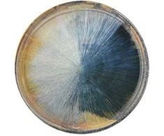 Desertinė lėkštė Am-Madera Ambition 20cm