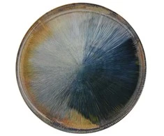 Lėkštė Am-Madera Ambition 26.5cm