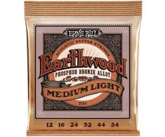 Stygos ak. gitarai Ernie Ball Earthwood vidutinio lengvumo 12 - 54 P02146