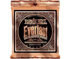 Stygos ak. gitarai Ernie Ball P02546