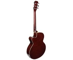 V-TONE EAG SET SB - set (4/4 electro-acoustic guitar + amplifier), sunburst