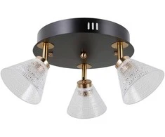 Lubinis šviestuvas 12W LED paviršinis šviestuvas ORELLA, juodos/aukso sp./skaidrus, 3000K