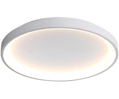 50W LED lubinis šviestuvas RADEN, baltas, 3000/4000/6000K