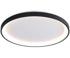 40W LED lubinis šviestuvas RADEN, juodos/baltos sp., 3000/4000/6000K