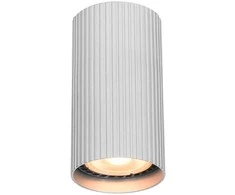 Italux Lubinis šviestuvas Rilok CLN-83920-S-ALU