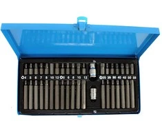 Antgalių rinkinys | metalinė dėžutė | 40 vnt. (66410V)