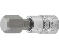 Bgs Technic Antgalis įpresuotas į galvutę | 6,3 mm (1/4") | hex šešiakampis 10 mm (2161-10)