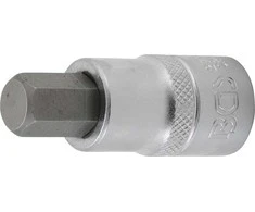 Bgs Technic Antgalis įpresuotas į galvutę | ilgis 55 mm | 12.5 mm (1/2") | hex šešiakampis 15/32" (2737)