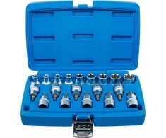 Bgs Technic Antgalių ir galvučių rinkinys | 12,5 mm (1/2") | E-Star / T-Star (Torx) | 19 vnt. (5100)