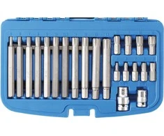 Bgs Technic Antgalių komplektas | 10 mm (3/8") storis | Spline (Ribe) | 22 vnt. (5013)