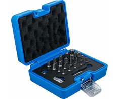 Bgs Technic Antgalių rinkinys | TS-Star (Torx Plus) | 23 vnt. (5056)