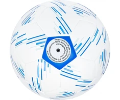 Bgs Technic Futbolo kamuolys BGS® (91020)
