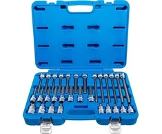 Bgs Technic Įpresuotų HEX antgalių rinkinys 1/2" 5–19 mm 30 vnt. (5181)