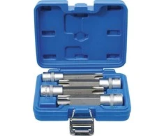 Bgs Technic Įpresuotų antgalių rinkinys | 12,5 mm (1/2") | MAXI, T-Star su skyle (Torx) | 4 vnt. (5103)