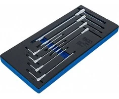 Bgs Technic Įrankių dėklas 1/3: Atsuktuvų rinkinys su slankiojančia T formos rankena | vidinis šešiakampis | 2 - 10 mm | 8 vnt. (6081)