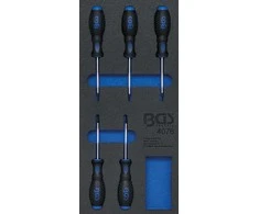 Bgs Technic Įrankių dėklas 1/3: T-Star atsuktuvai (Torx) | 5 vnt. (4076)