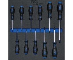 Bgs Technic Įrankių dėklas 2/3: atsuktuvų rinkinys | T-Star (Torx) T6 - T40 | 11 vnt. (4079)