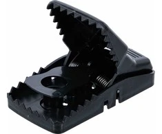 Bgs Technic Pelėkautai plastikiniai | daugkartiniai spąstai pelėms (80792)