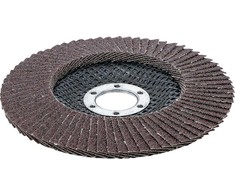 Bgs Technic Šlifavimo diskas lapelinis | Ø 125 mm | K 80 (3976)