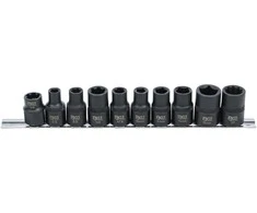 Bgs Technic Specialios automobilinės galvutės | 3- / 5- / 6- / 10 kampų | 10 vnt. (2560)