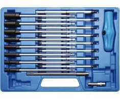 Bgs Technic Specialus T-rankenėlių atsuktuvų rinkinys | 19 vnt. (7985)