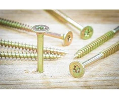 Bgs Technic Tvirtinimo varžtai galvanizuoti | T-Star T25 | 5.0 x 80 mm | 50 vnt. (88009)