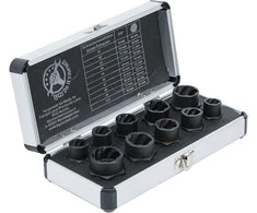 Bgs Technic Specialių galvučių rinkinys | Sraigtiniai ištraukėjai | 10 mm (3/8") | 9-19 mm | 10 vnt. (20210)