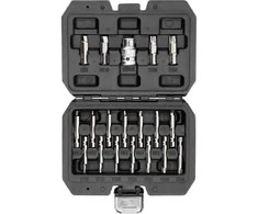 Yato Toya Sa Poland Antgalių rinkinys | sugadintiems T-Star (Torx) ir Hex | 19 vnt. (YT-04584)