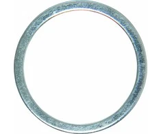 Bgs Technic Žiedas / adapteris diskams iš 30 į 25 mm (9318)