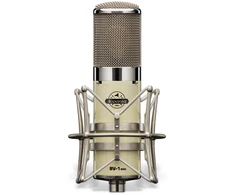 Avantone BV-1 MKII - vamzdinis mikrofonas