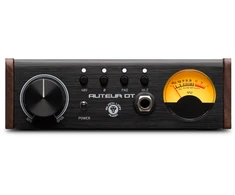 Black Lion Audio Juodas Lion Auteur DT – išankstinis mikrofonas