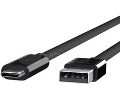 BELKIN USB 3.1 USB-C Į USB A 3.1