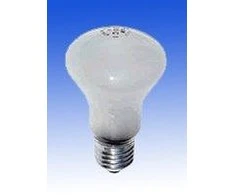 Elinchrom 100W/196V/E27 23002