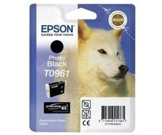 Epson T096 Photo Juodas Cartridge Epson