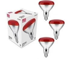 Infraraudonųjų spindulių lempa Avide 250W E27 3vnt