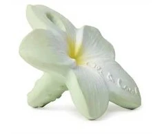 OLI&amp;CAROL kramtukas BALI THE FLOWER