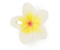 OLI&amp;CAROL kramtukas HAWAII THE FLOWER