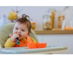 TOMMEE TIPPEE seilinukas ROLL N GO, 1 vnt.