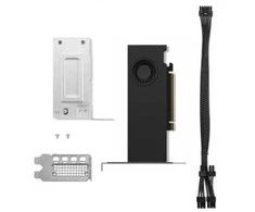 Vaizdo plokštė Lenovo RTX 2000 Ada | NVIDIA | 16 GB | GDDR6 | PCIe 4.0 x 8