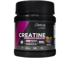 SPORT LIVE DRASANVI CREATINE 200MESH #Forest Fruits 300 gr