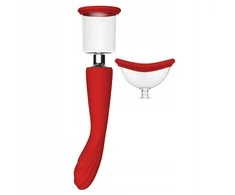 Dreamtoys RAUDONOJI REVOLIUCIJA GRUZIJOJE