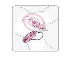 Adrien Lastic Egg/vibratorius – Play Ball