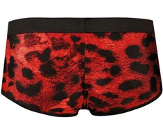 ANAIS MEN BOXER &amp; BRIEF ANAIS MEN SAVAGE Sporty Briefs XL Raudona Animal Print Microfiber
