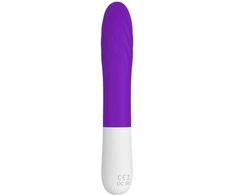 B Series Joy B serijos Joy Galingas G taško vibratorius neperšlampamas USB 7 režimai