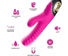 B Series Joy B serijos Joy Bunny Vibratorius daugiafunkcinis 22cm 2x9 režimai