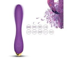 B Series Joy B serijos Joy Vibrator masažuoklis g taško stimuliatorius 22cm 9 režimai